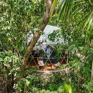 ku-kuk-glamping.allrivieramayahotels.com/